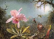 Martin Johnson Heade Cattleya Orchid Three Brazilian Hummingbirds oil painting artist